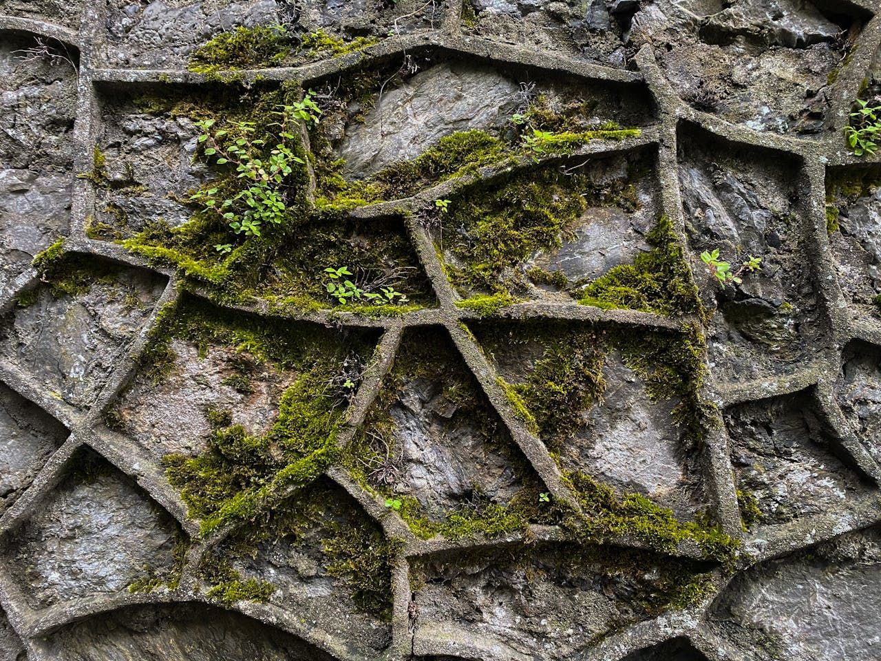 Algebehandling af fliser